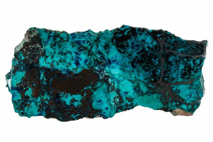 Vibrant Chrysocolla and Shattuckite Slab - Mexico #337035
